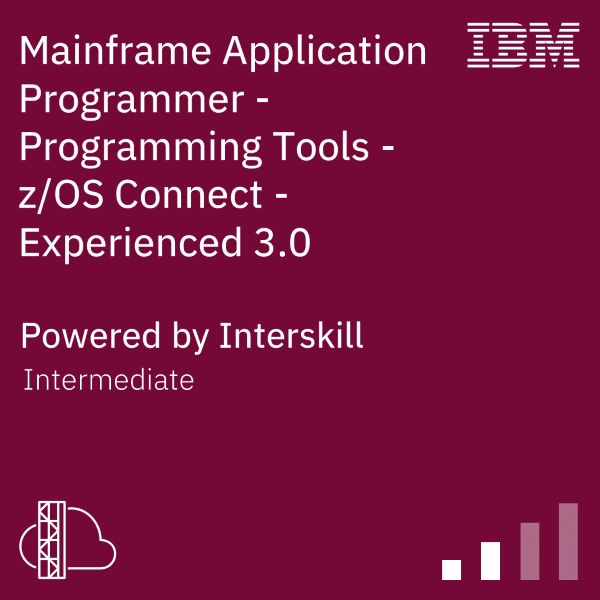 Mainframe Application Programmer - Programming Tools - z/OS Connect - Experienced 3.0