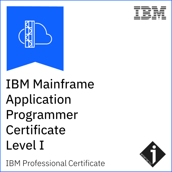 Interskill -Mainframe Application Programmer Level I