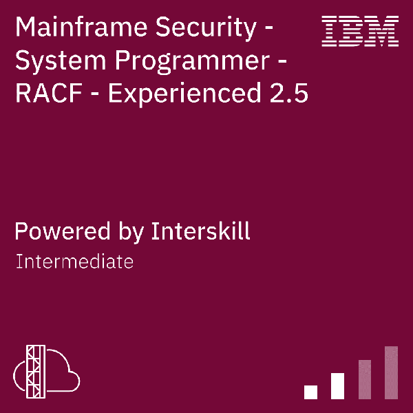Interskill - System Programmer - RACF - Experienced 2.5