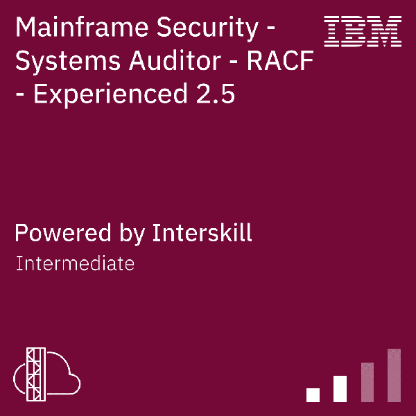 Interskill - Systems Auditor - RACF - Experienced 2.5-600