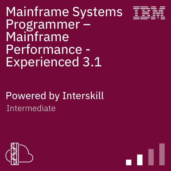 Mainframe-Performance-Experienced-31