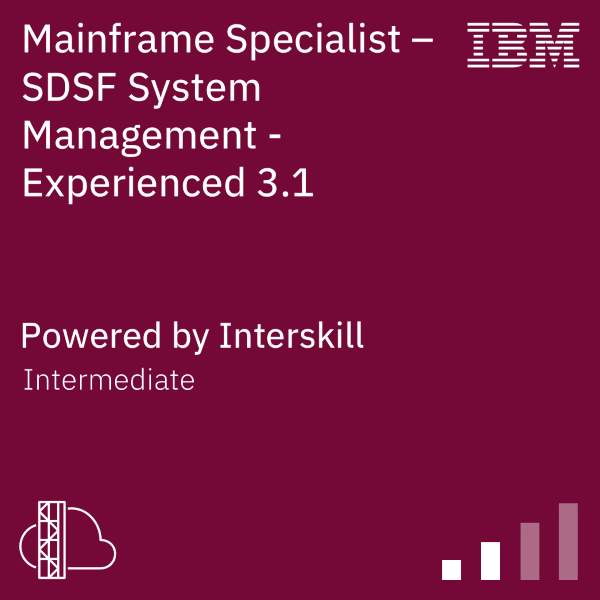 SDSF-System-Management-Experienced-31